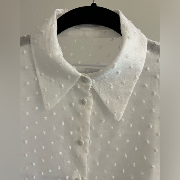 Sheer white button down blouse from ZARA - Picture 3 of 5